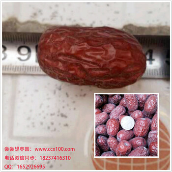 新疆红枣价格多少钱一斤？