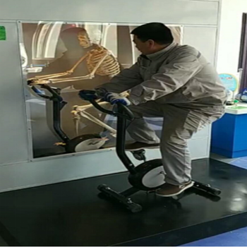 LX-022科技展品科普器材教学仪器-人体骨胳运动