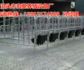 供应母猪限位栏尺寸有哪些猪用定位栏价格优质的母猪限位栏生产厂家