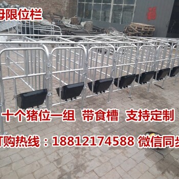江苏养猪设备生产销售十个猪位的定位栏一套多少钱