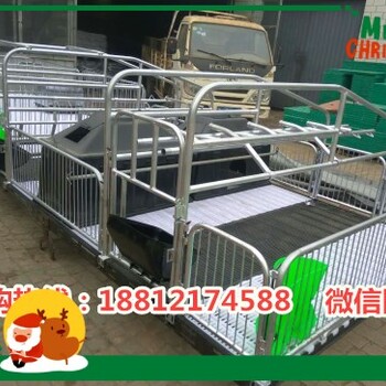 贵州母猪产床价格一套出售多少钱猪产床配套批发养猪设备生产销售