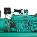 日照嵐山區(qū)柴油發(fā)電機出租日照嵐山區(qū)周邊租賃中心