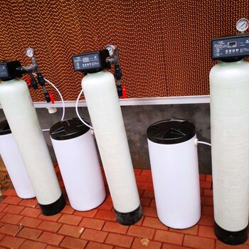 孟津软化水设备厂家供应地下水除水垢设备2吨锅炉软化水设备