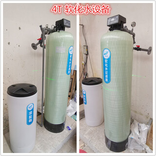 宿州食品厂软化水设备5吨锅炉软化水装置硬水软化水处理设备图片3