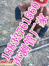 哈密地区声测管大量现货50-54-57型号图片