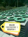 供山东免托板砖机全新型免烧水泥标砖制砖机设备就在建丰砖机