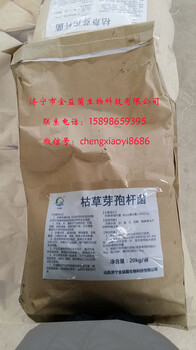 枯草芽孢桿菌