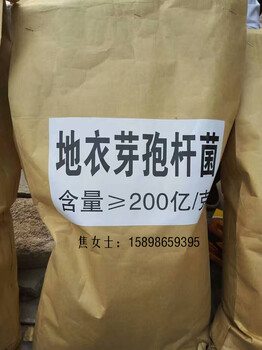 土豆種植菌種-枯草-地衣-EM菌