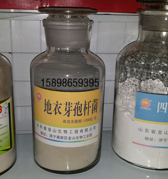 番茄灰霉病如何方式和治療