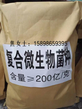 高濃縮復合微生物原粉