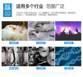 上海定西路	医疗干冰图片3