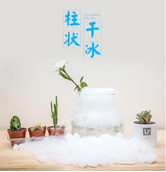 上海路植物干冰