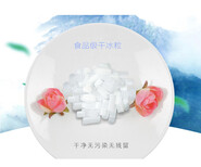 上海康健路干冰出售配送公司图片0