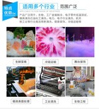 上海东昌路医疗生物干冰销售配送图片4