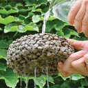 彩色生態(tài)透水地坪---工程承包---現場施工----保質保量