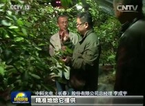 中科植物补光灯给植物补充所需光图片1