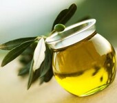 年关了希腊橄榄油进口报关清关你知道办理许可证吗？