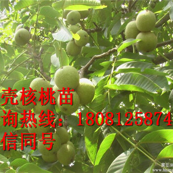 核桃的作用,核桃的營養(yǎng)價值，核桃的好處