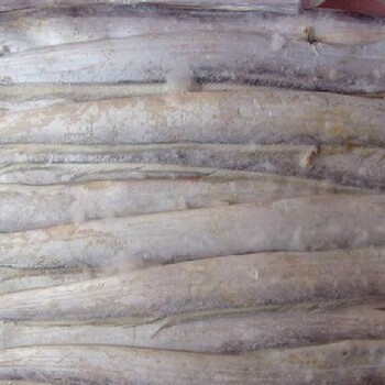 海鲜进口小助理冷冻带鱼进口清关标签内容是什么样的？冻带鱼进口需要哪些流程？