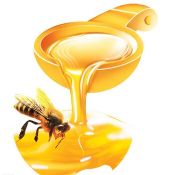 青岛港蜂蜜进口报关标签怎么粘贴？