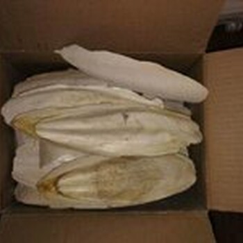 馬來西亞海蜇進口報關(guān)需要哪些資料？海蜇進口清關(guān)一般貿(mào)易代理公司