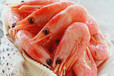 印度冻虾进口清关过程中需要注意哪些问题？冻虾进口代理公司