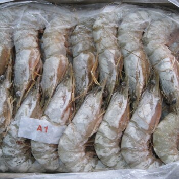 印度冷冻白虾进口关税是多少？印度白虾进口清关公