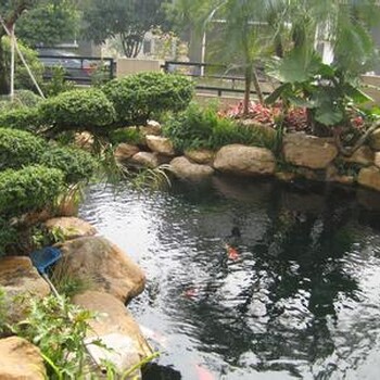 臭氧消毒设备在泳池水处理中的应用与效果