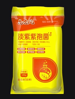 防治韭菜地蛆不用藥就用淡紫紫孢菌