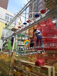 淘气堡儿童游乐设备淘气堡厂家专业定做蹦床拓展器材海洋主题