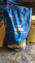 用在大葱上什么杀虫药肥效果最好?图片