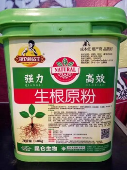 如何讓作物快速生根，用什么生根粉效果好？預(yù)防死苗爛根，抗病增產(chǎn)