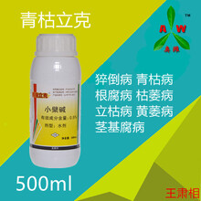 新疆昌吉綠色有機(jī)基地用藥青枯立克防治蔬菜根部病害效果好