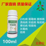 大蒜油复配剂适用于果树蔬菜疑难病害，上海周边绿色现代农场使用