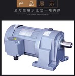 食品机械减速机粮油机械设备专用齿轮减速机(郑州迈传)厂价供应
