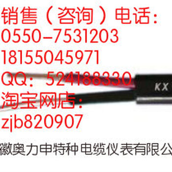 K分度号热电偶用补偿导线KX-GA-VV1x2x1.0mm2型号
