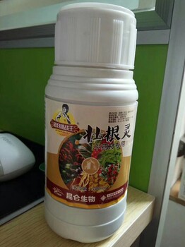 想要药材长得好根茎膨大中药材壮根灵就是它药材