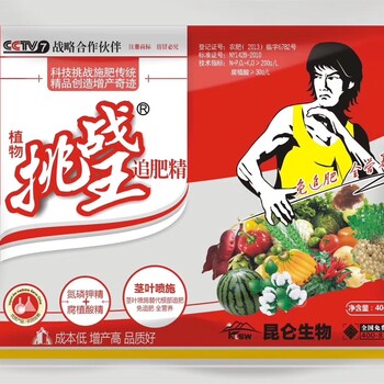 拔節(jié)后至大喇叭口期的玉米怎么追肥？氮磷鉀精+腐植酸精