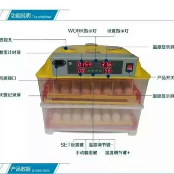 家用小迷你孵化器96枚经济操作简单