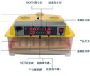 建民孵化机24枚家用小迷你孵化器智能全自动操作简单易学