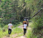 城步高山乌骨鸡旅游特色菜肴城步特色小吃