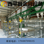 金兴养殖设备厂家阶梯式层叠式鸡笼自动上料机图片1