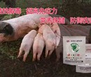 健胃肠病康--您家的母畜容易出现腹泻，食欲不正的症状吗？图片