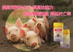 济南普罗新型高科技功能性饲料添加剂---猪用壳肽抗体精华素