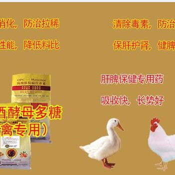 鸡腺胃炎的发病特点及传染迅速，用哪种产品可以减少病症效果好