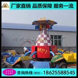 儿童狂车飞舞金山游乐设备厂家图片4