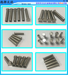 平头半空心铆钉平头铆钉平头半空心铁铆钉实心销钉平头冷镦铆钉铜图片4