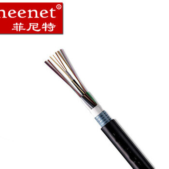 Pheenet12芯光缆光缆的具体的特点及用途