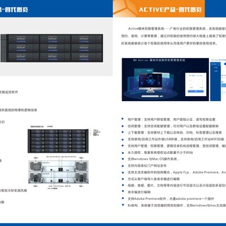 ActiveMRAID16是真人秀存储里具性价比的图片4