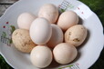 湖南芷江有机农产品批发土鸡蛋散养农家草鸡蛋笨鸡蛋